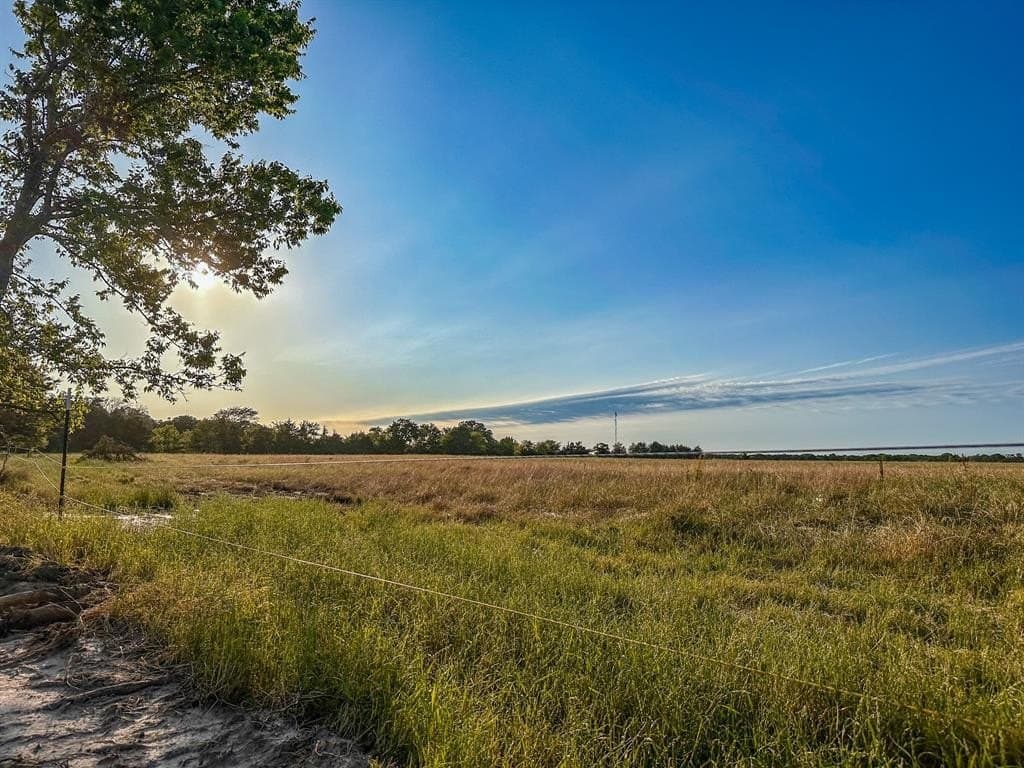 25 acres in Fannin County - photo 5