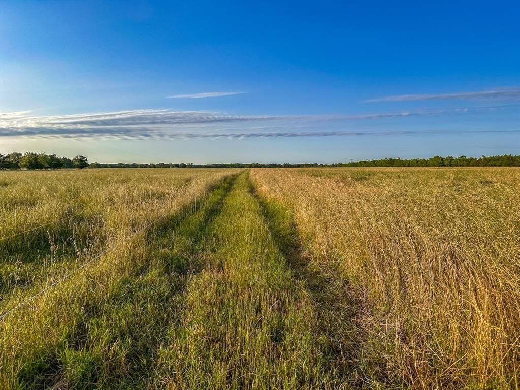 25 acres in Fannin County - photo 10