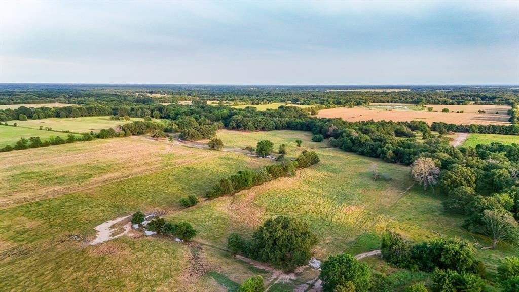 25 acres in Fannin County - photo 15