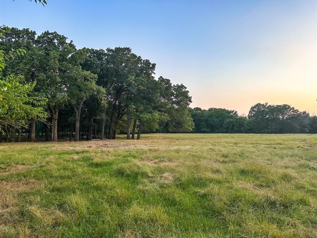 25 acres in Fannin County - photo 7