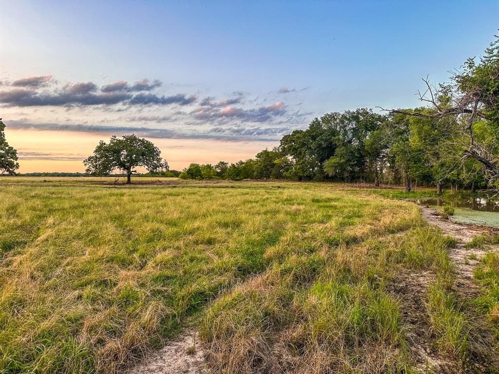 25 acres in Fannin County - photo 6