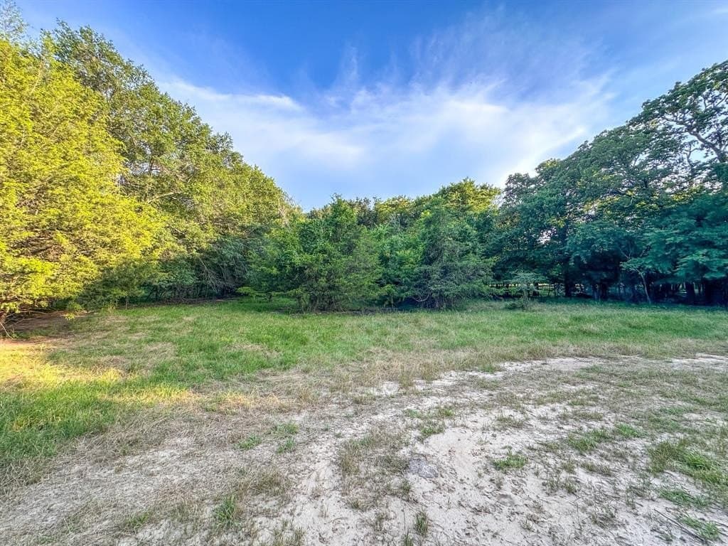 25 acres in Fannin County - photo 8