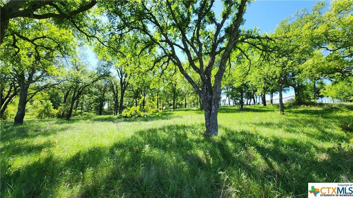 41.06 acres in Milam County - photo 35