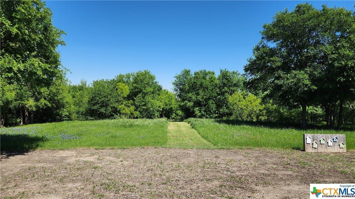 41.06 acres in Milam County - photo 28