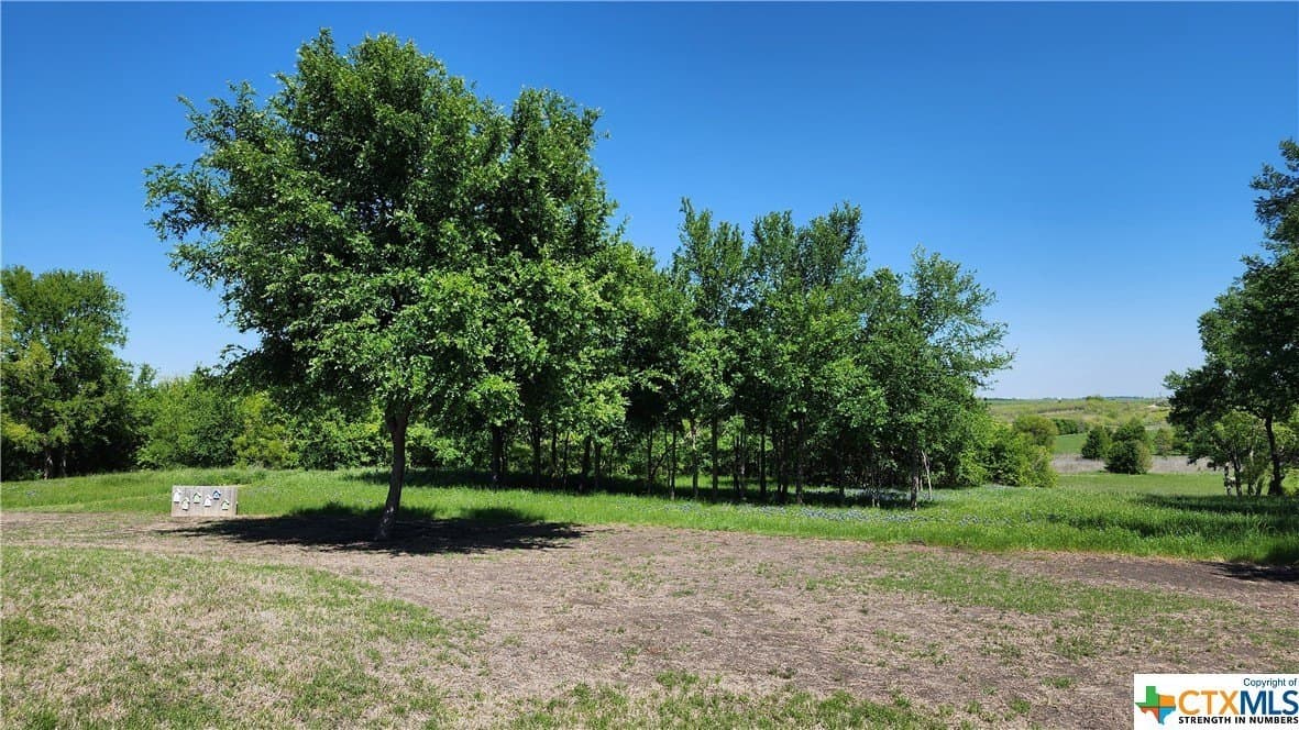 41.06 acres in Milam County - photo 27