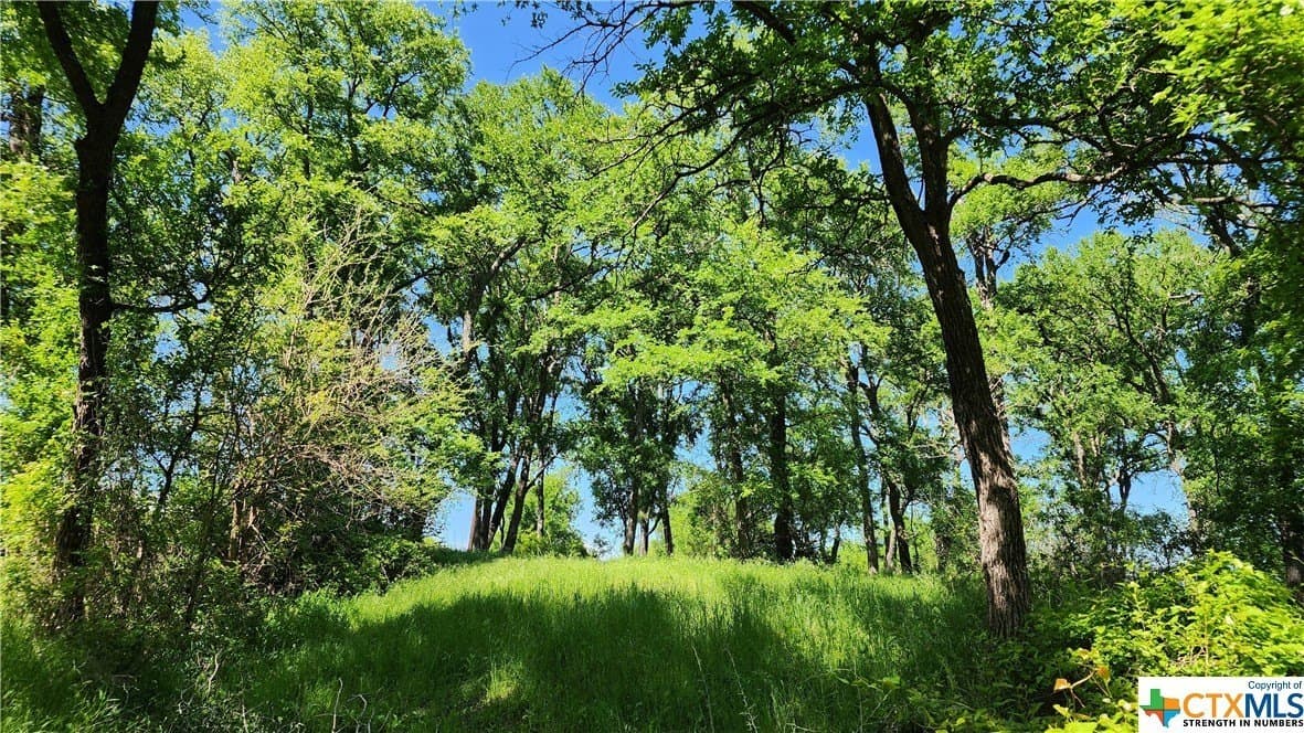41.06 acres in Milam County - photo 36