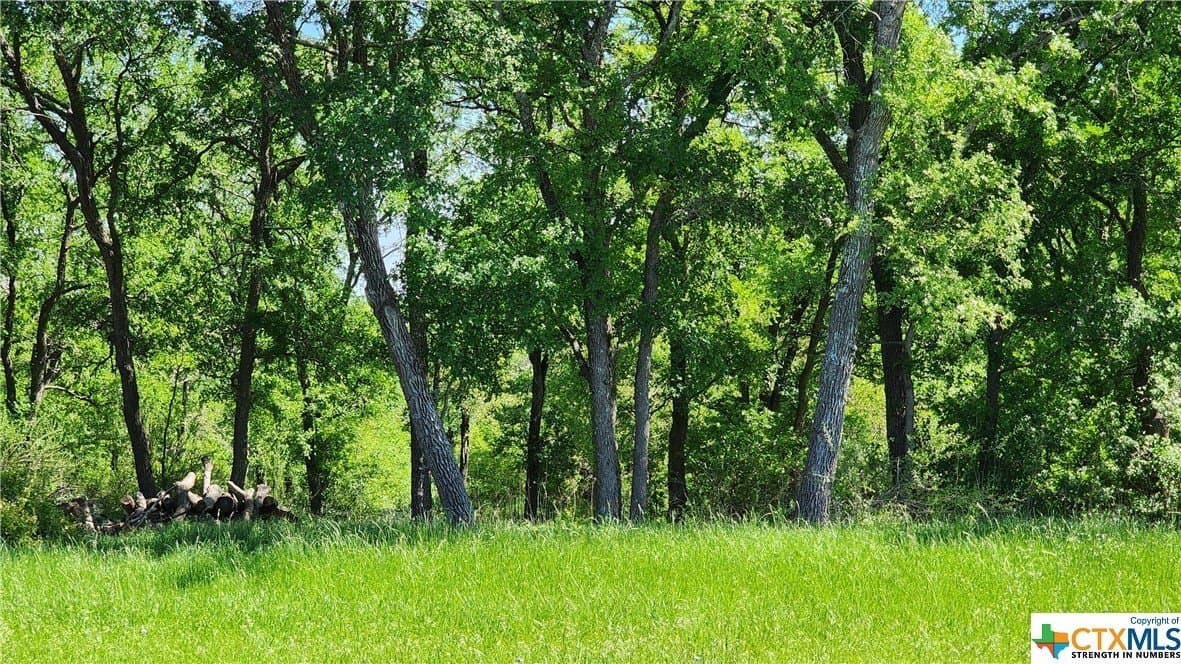 41.06 acres in Milam County - photo 26