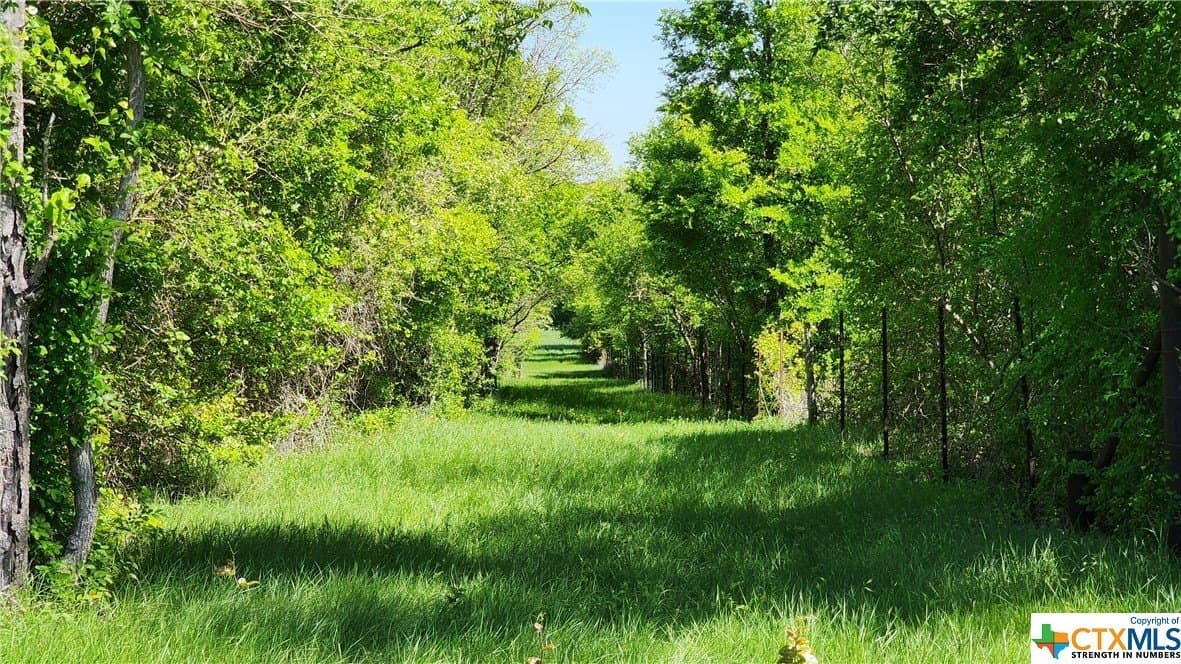 41.06 acres in Milam County - photo 34