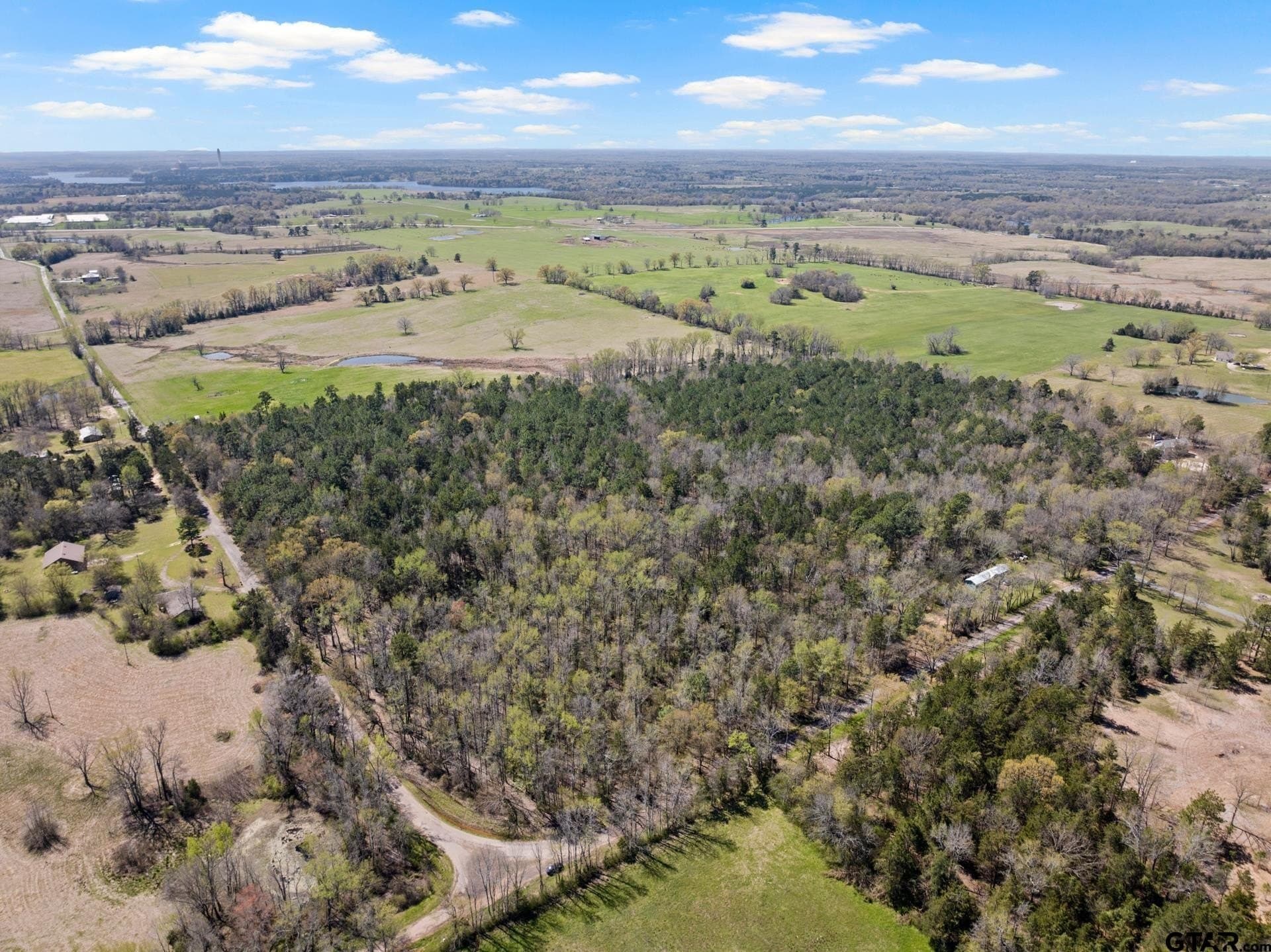 11.29 acres in Titus County - photo 9