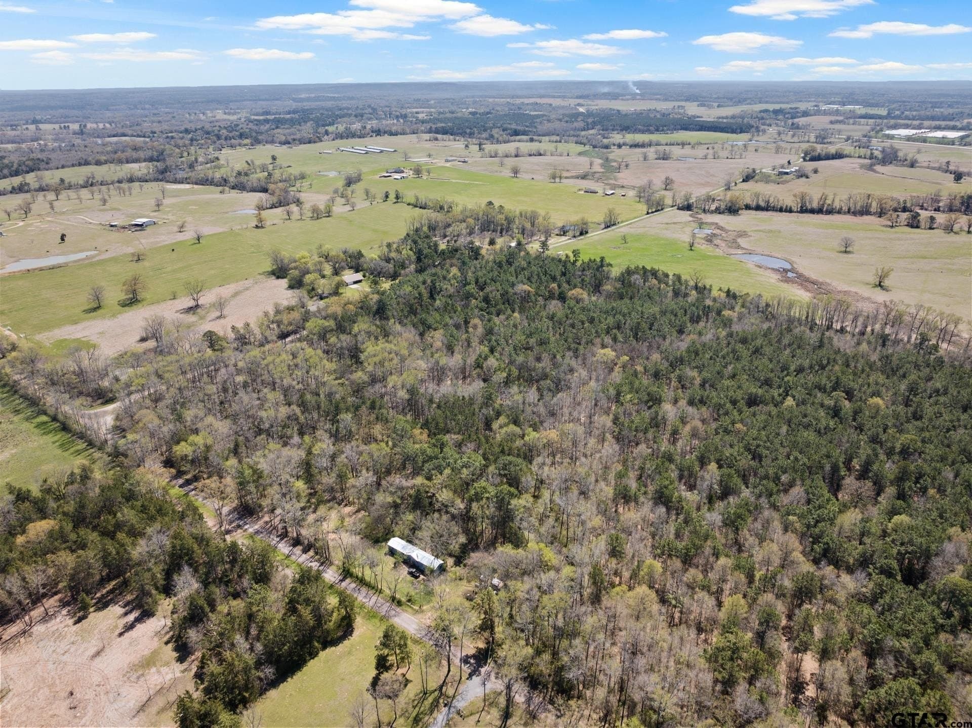 11.29 acres in Titus County - photo 8