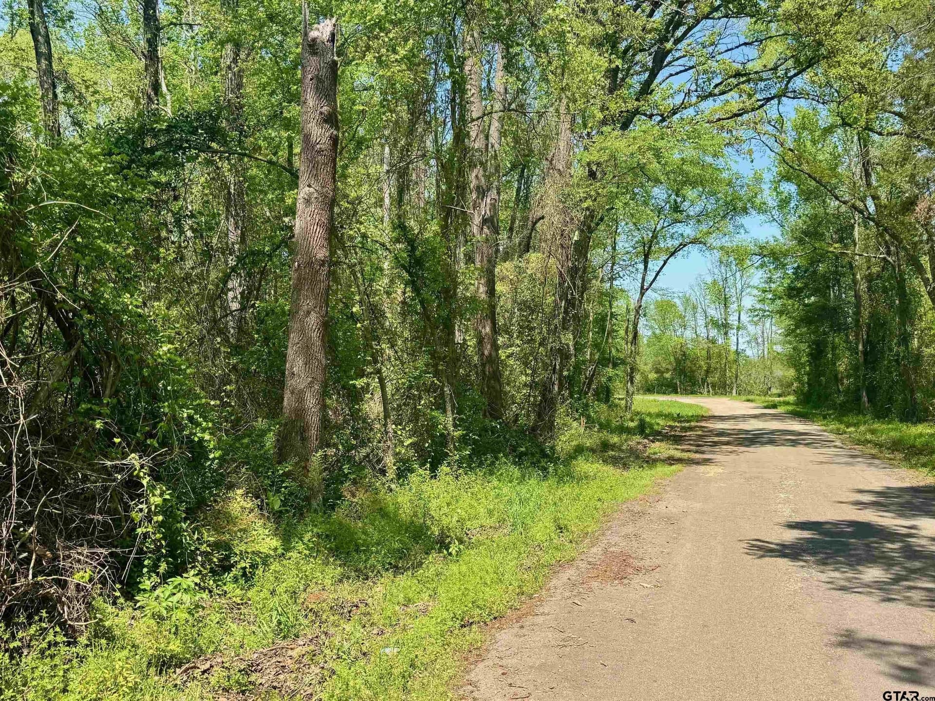 11.29 acres in Titus County - photo 14