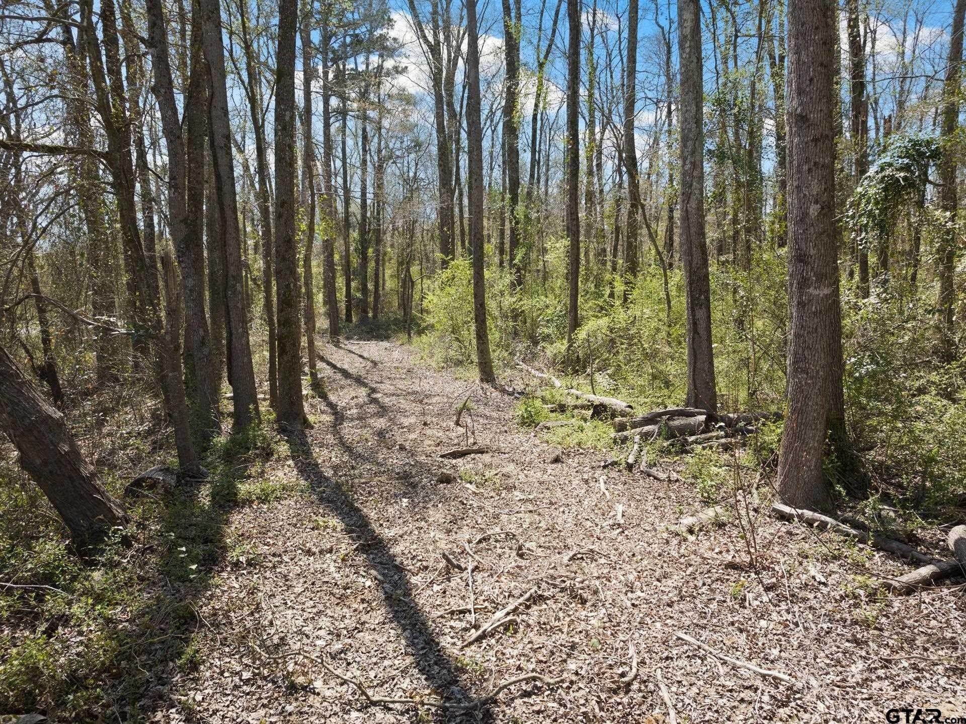 11.29 acres in Titus County - photo 3