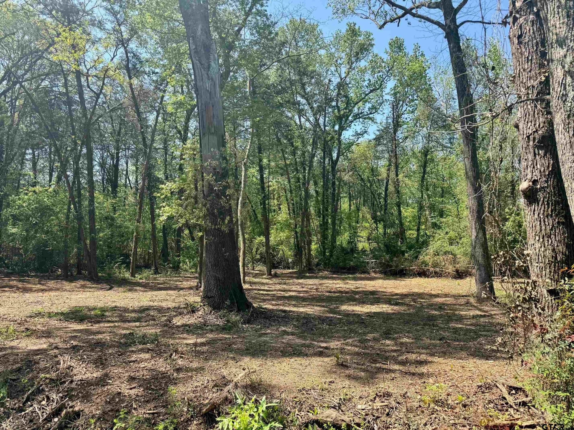 11.29 acres in Titus County - photo 10