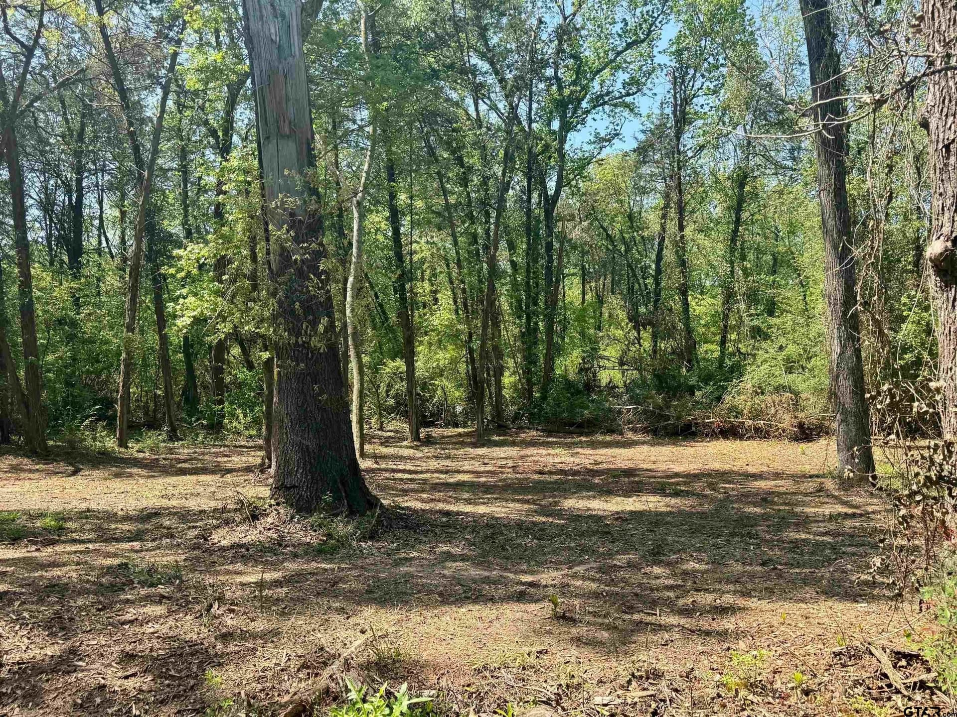 11.29 acres in Titus County - photo 11