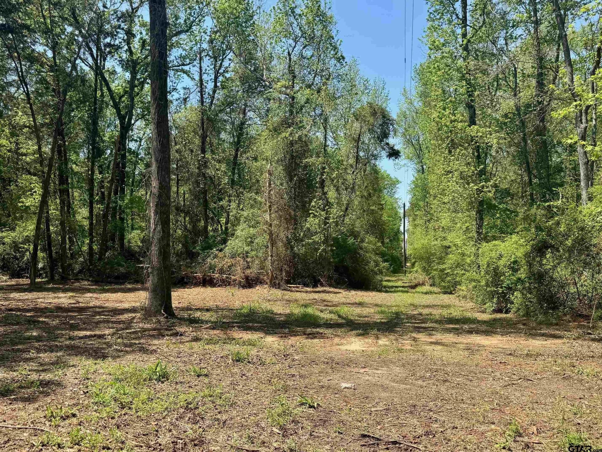 11.29 acres in Titus County - photo 13
