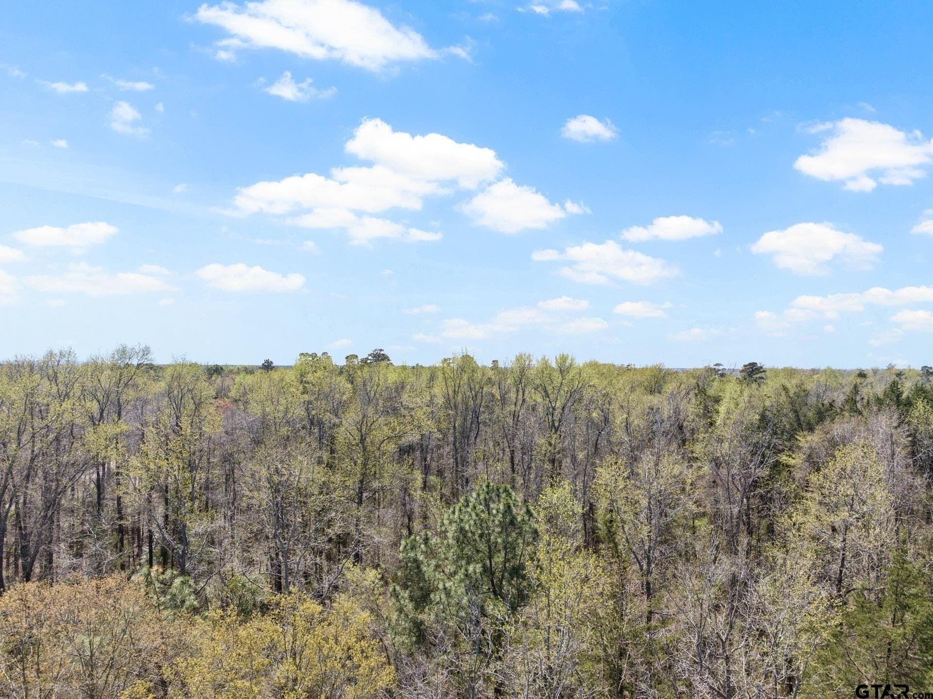 11.29 acres in Titus County - photo 4
