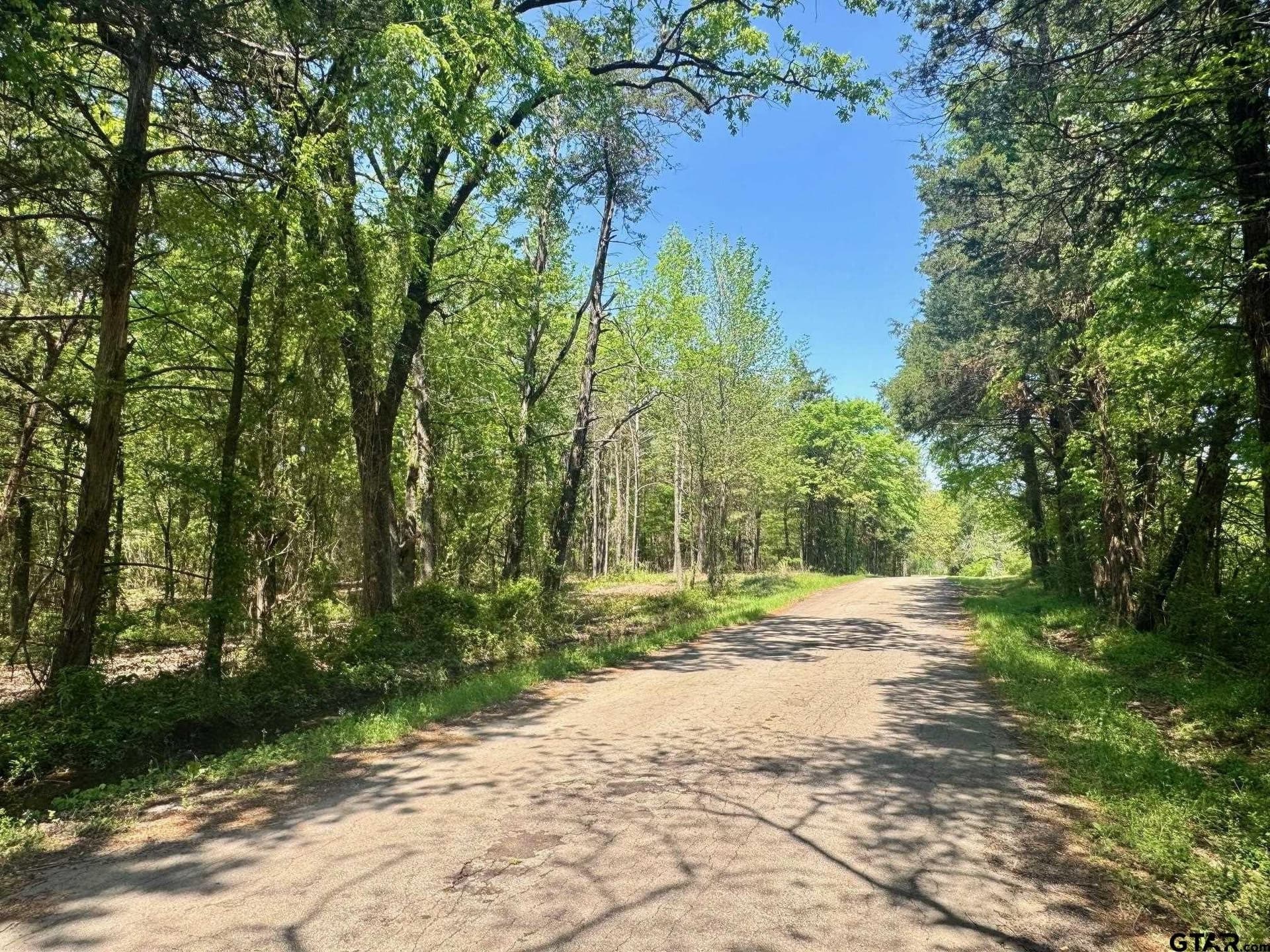 11.29 acres in Titus County - photo 16