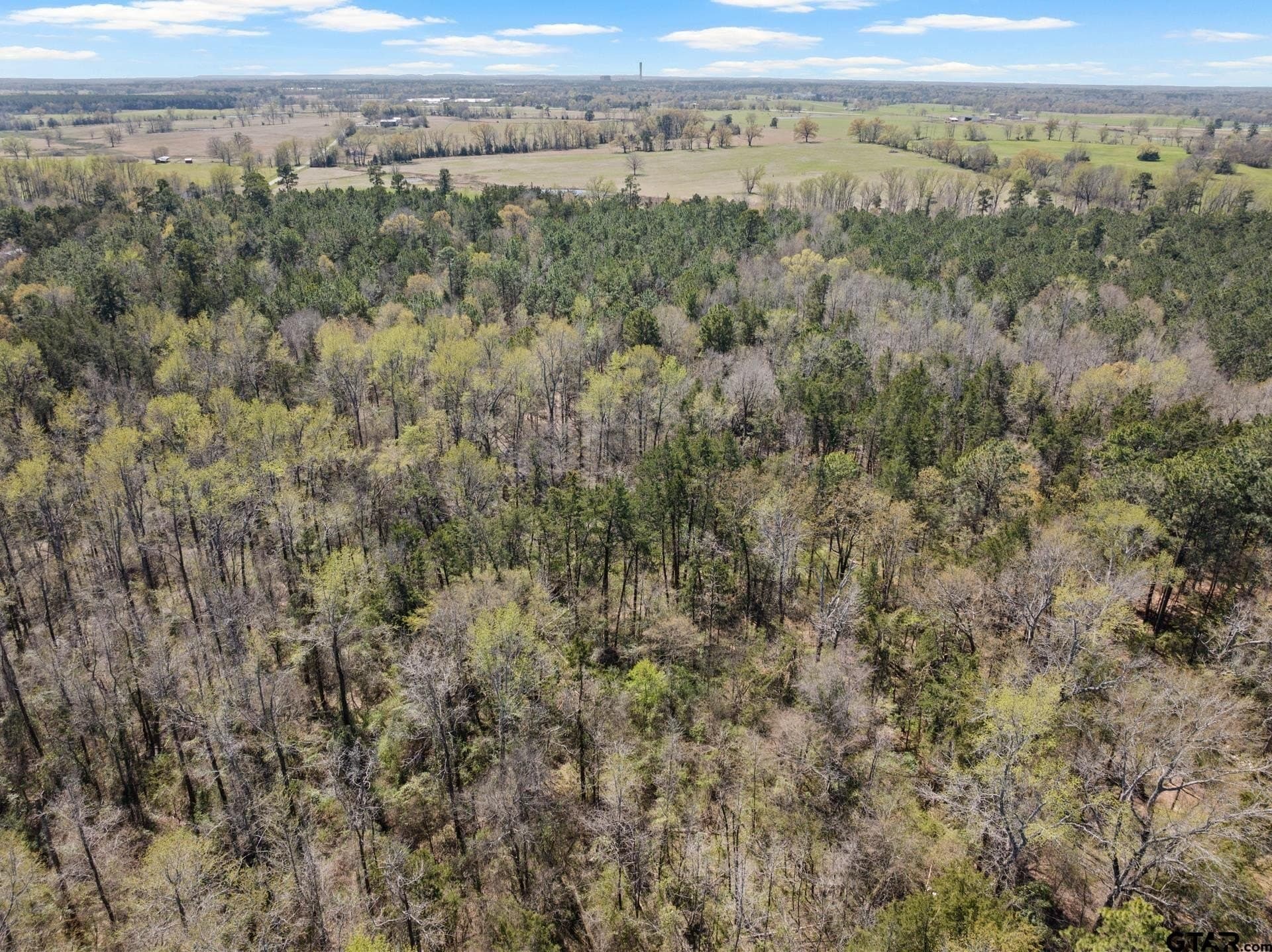 11.29 acres in Titus County - photo 5