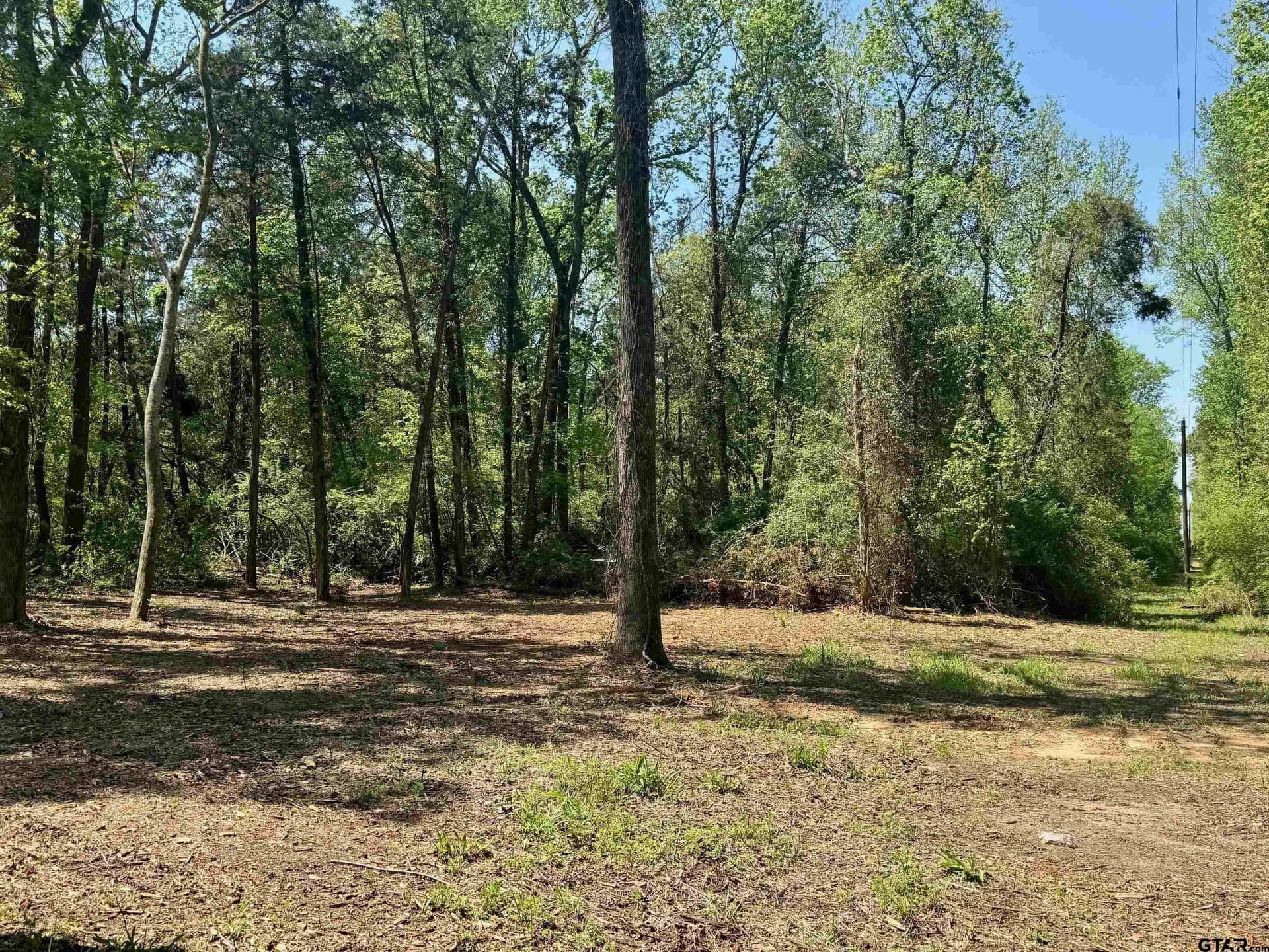 11.29 acres in Titus County - photo 12