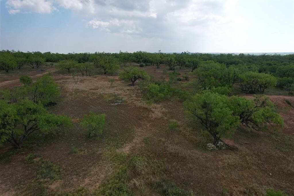 176.85 acres in Jones County - photo 7