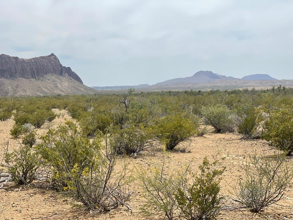 5 acres in Brewster County - photo 11