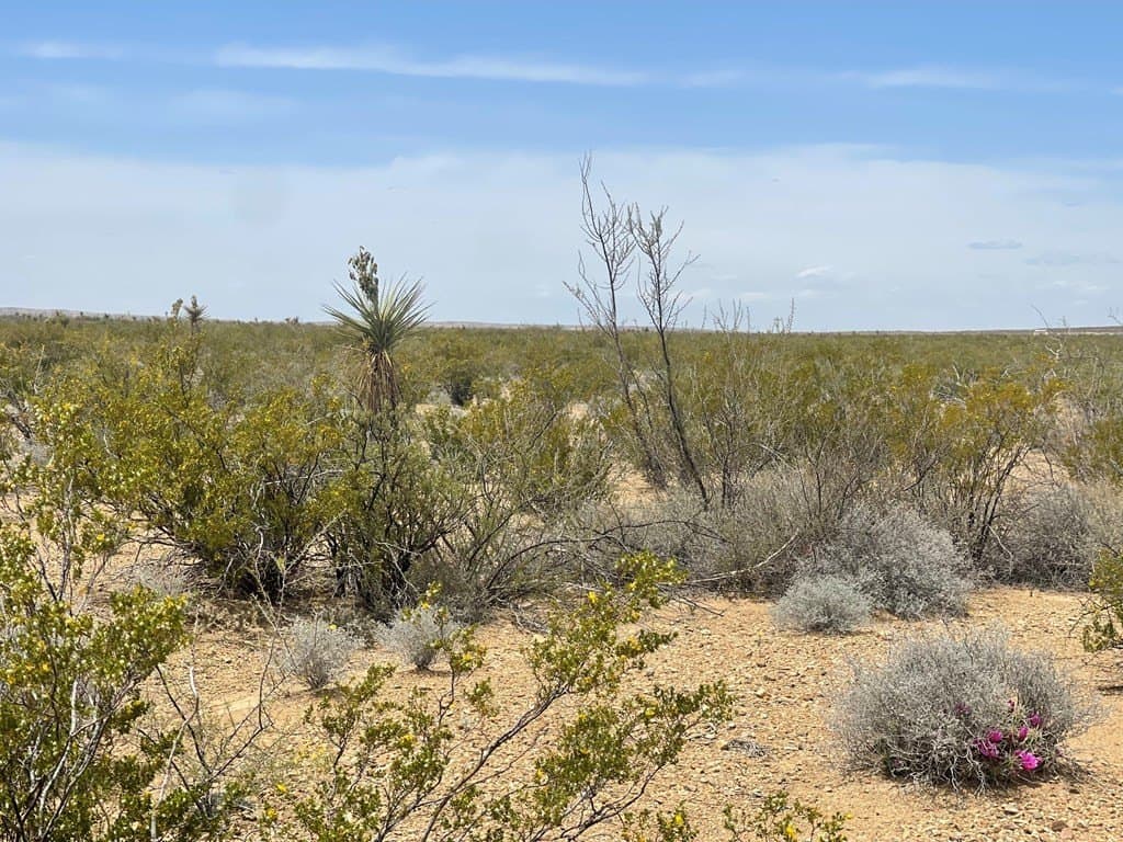 5 acres in Brewster County - photo 5
