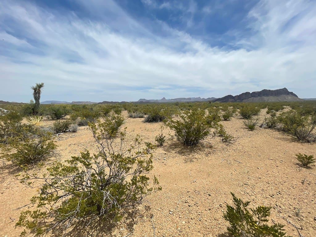 5 acres in Brewster County - photo 14