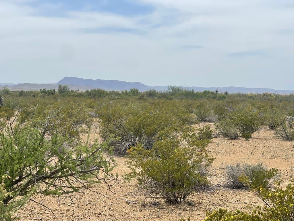 5 acres in Brewster County - photo 18