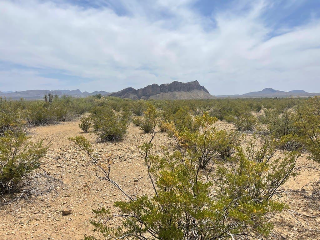 5 acres in Brewster County - photo 4