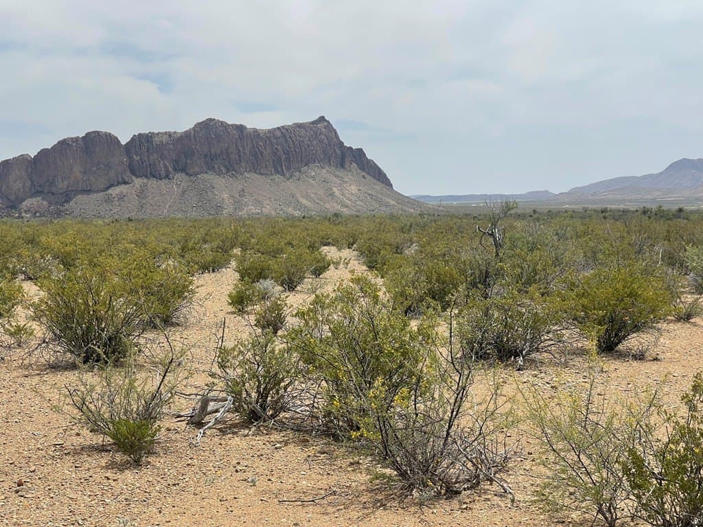 5 acres in Brewster County - photo 12