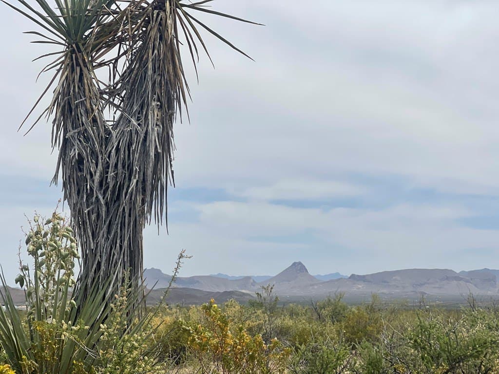 5 acres in Brewster County - photo 17