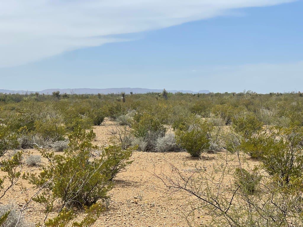 5 acres in Brewster County - photo 8