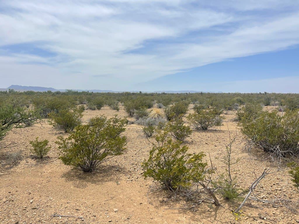 5 acres in Brewster County - photo 19