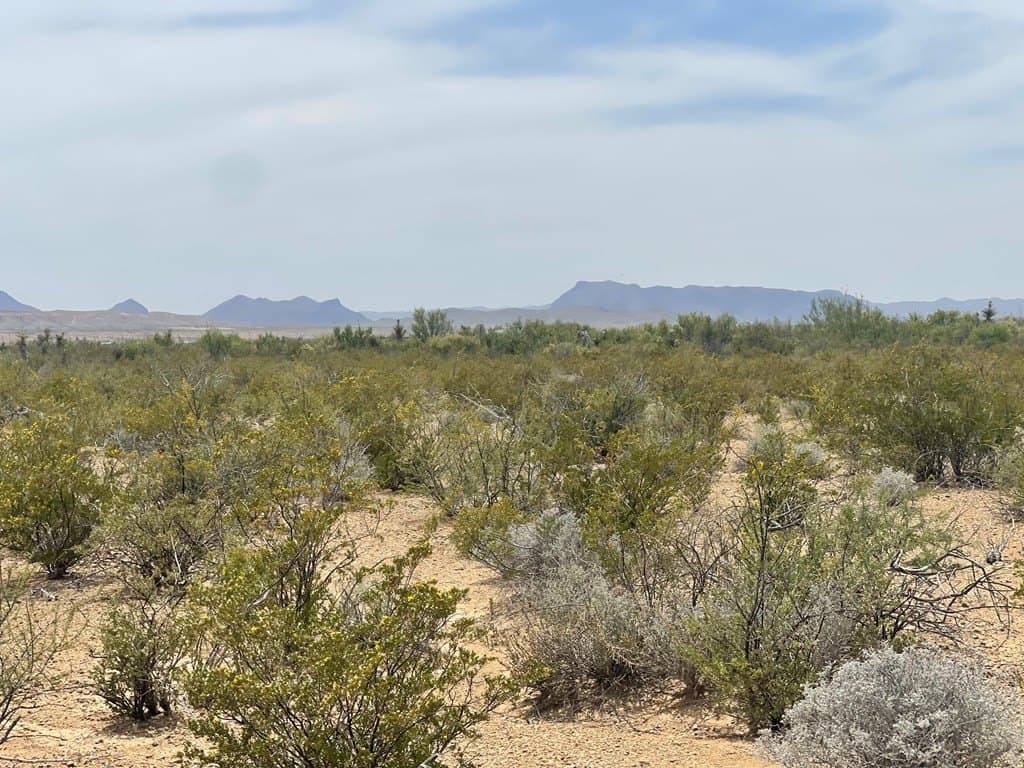 5 acres in Brewster County - photo 10