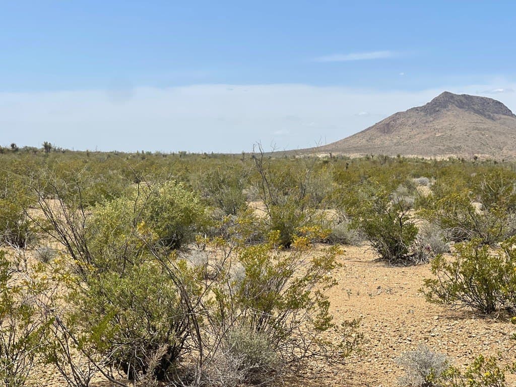 5 acres in Brewster County - photo 7