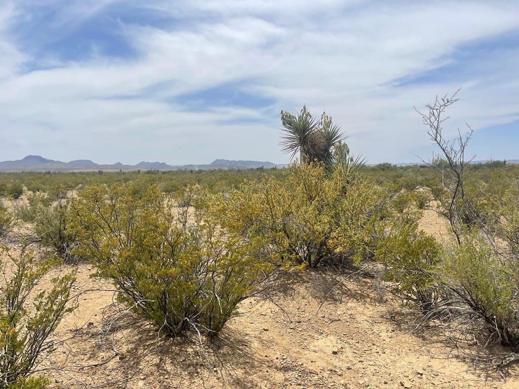 5 acres in Brewster County - photo 3