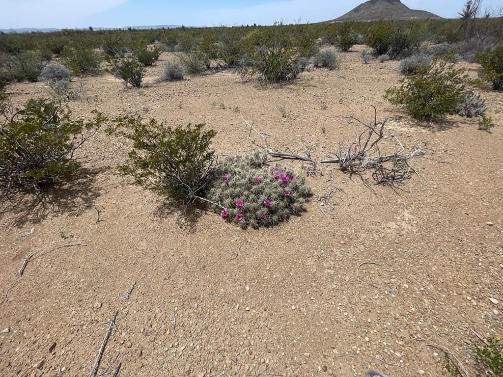5 acres in Brewster County - photo 16