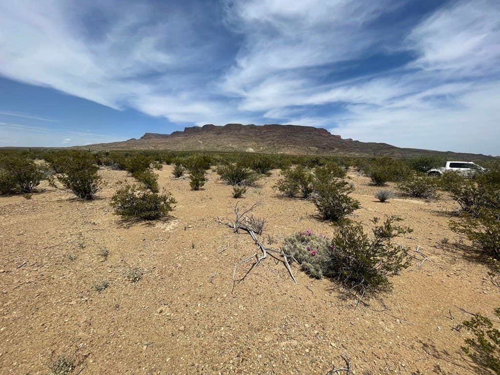 5 acres in Brewster County - photo 15
