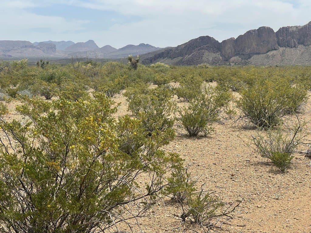 5 acres in Brewster County - photo 13