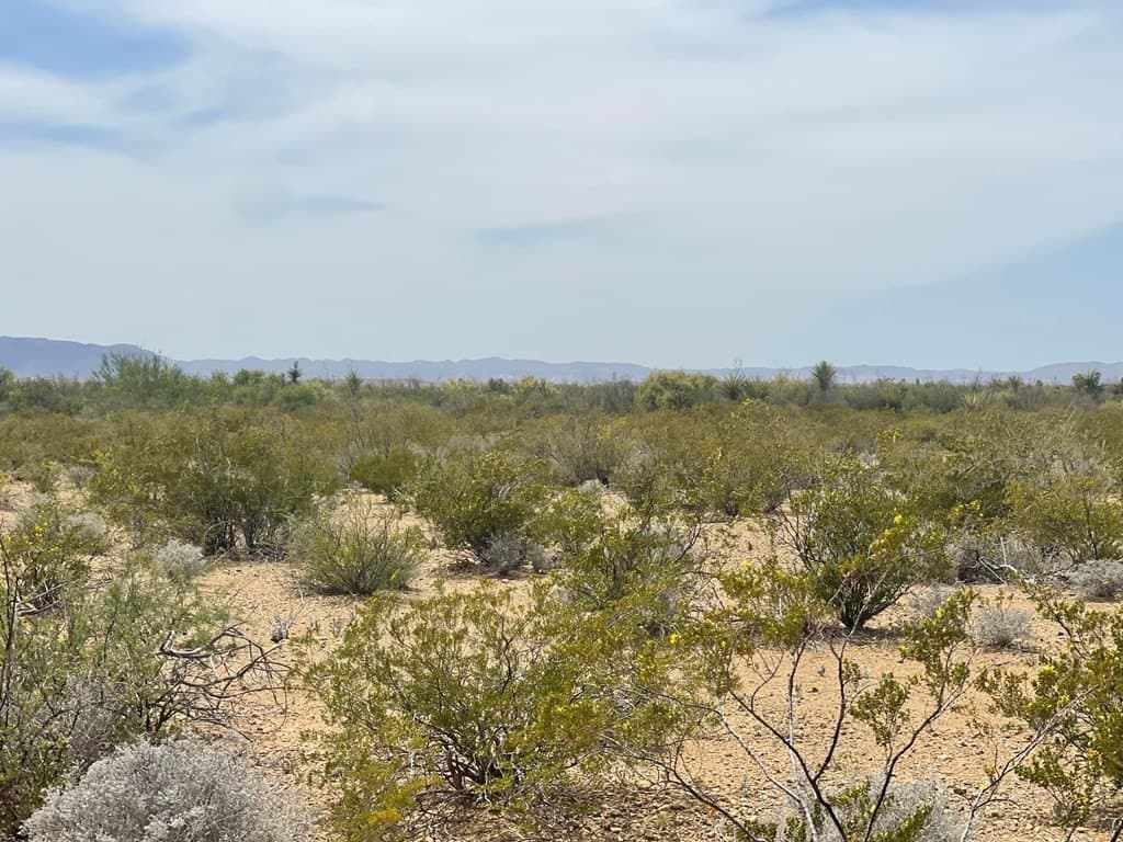 5 acres in Brewster County - photo 9