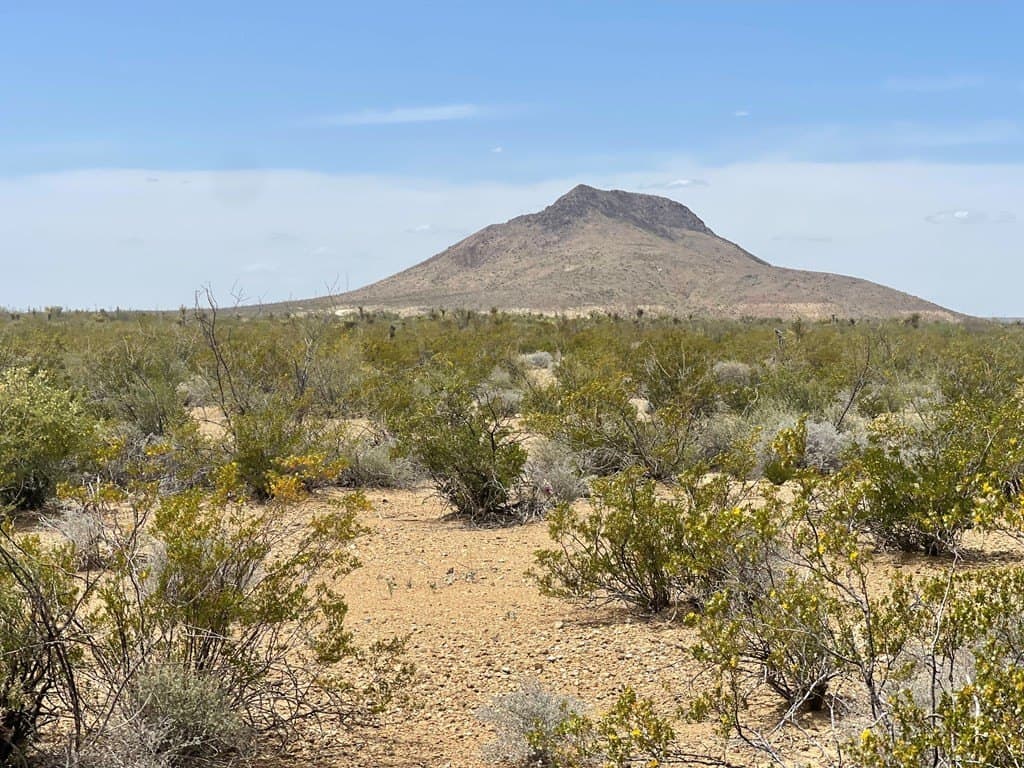 5 acres in Brewster County - photo 6
