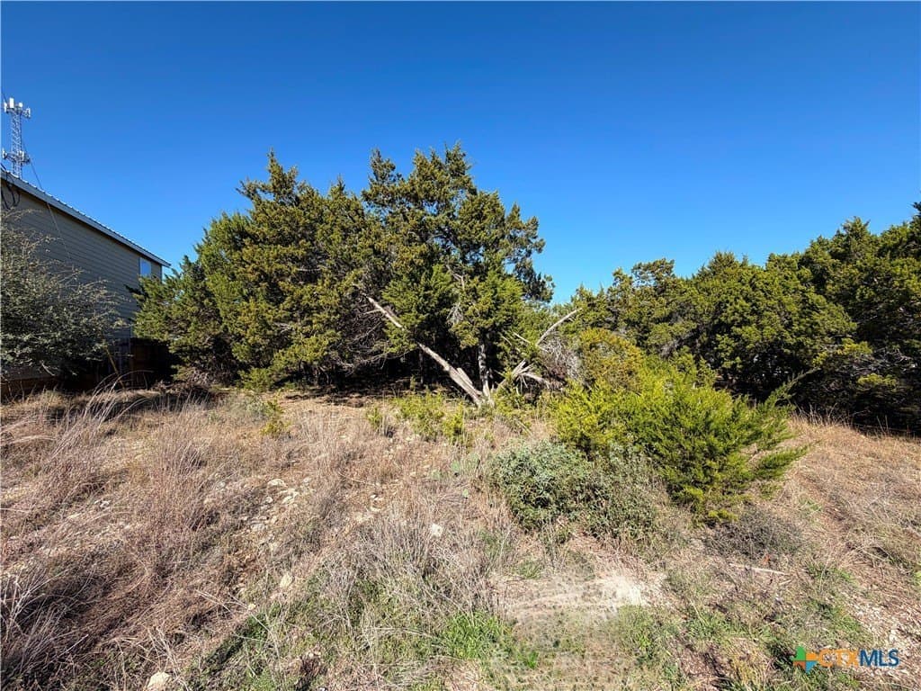 0.27 acres in Comal County - photo 4