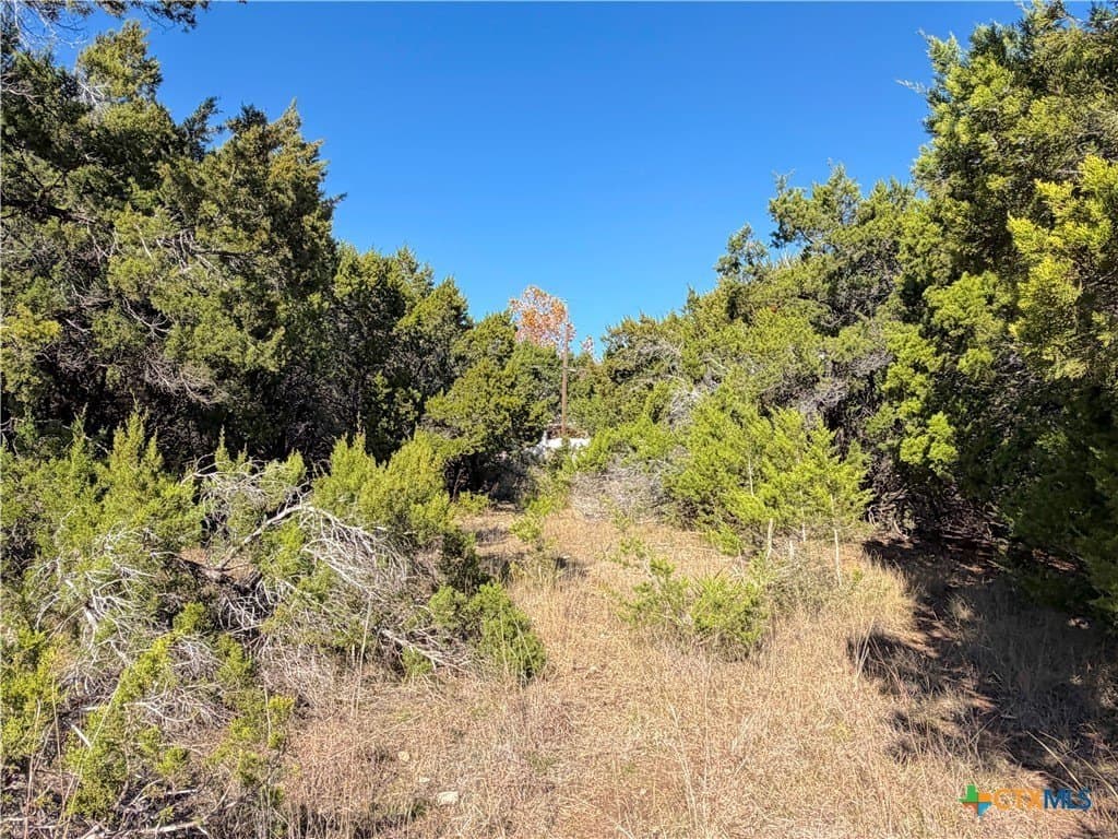 0.27 acres in Comal County - photo 2