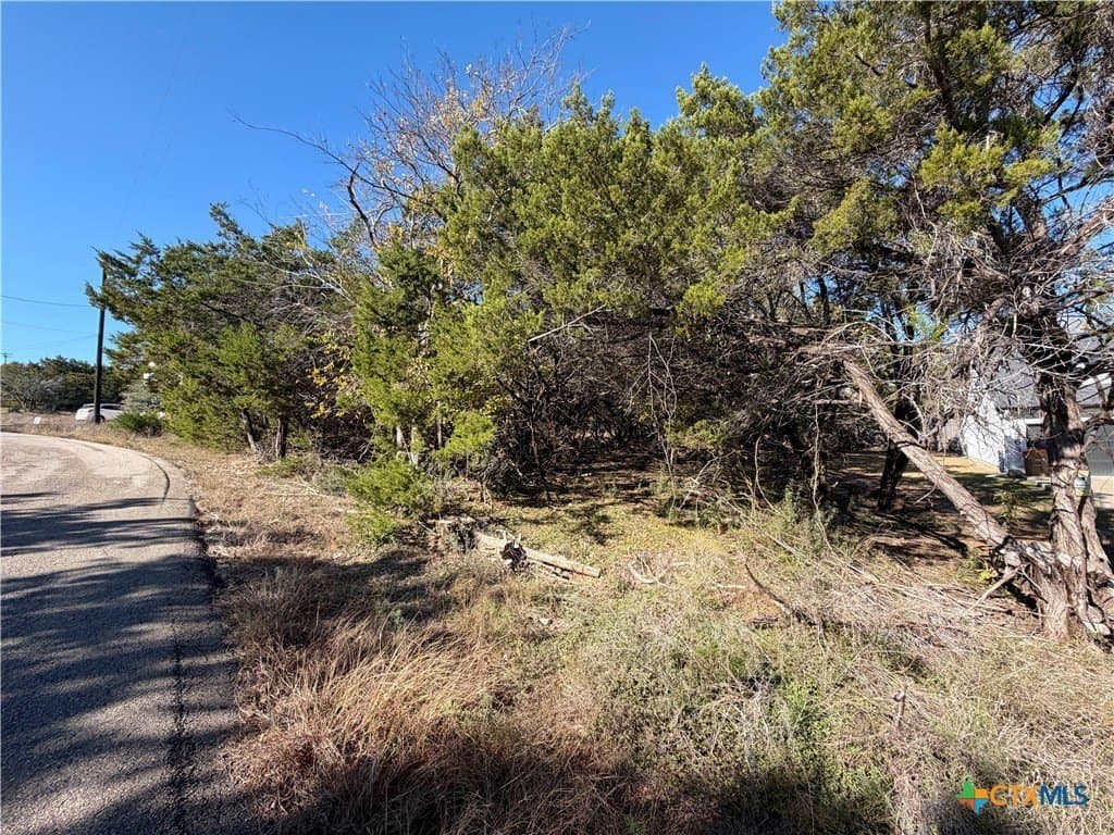 0.27 acres in Comal County - photo 5