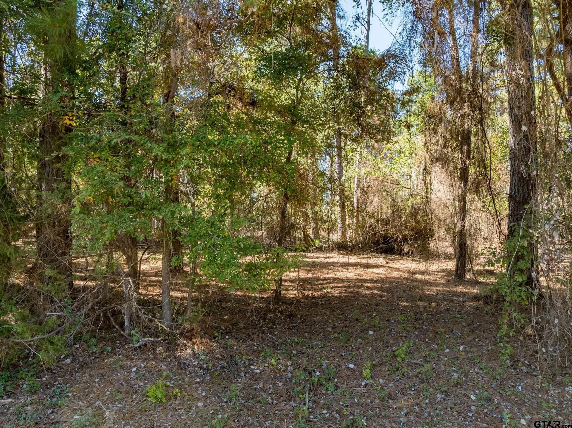 1.28 acres in Smith County - photo 15