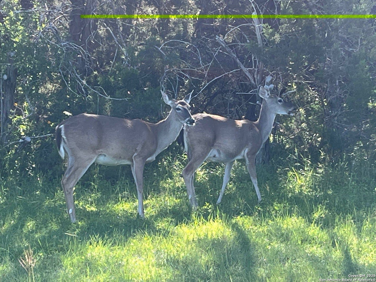 1.41 acres in Bexar County - photo 9