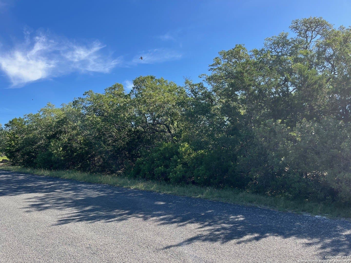 1.41 acres in Bexar County - photo 6