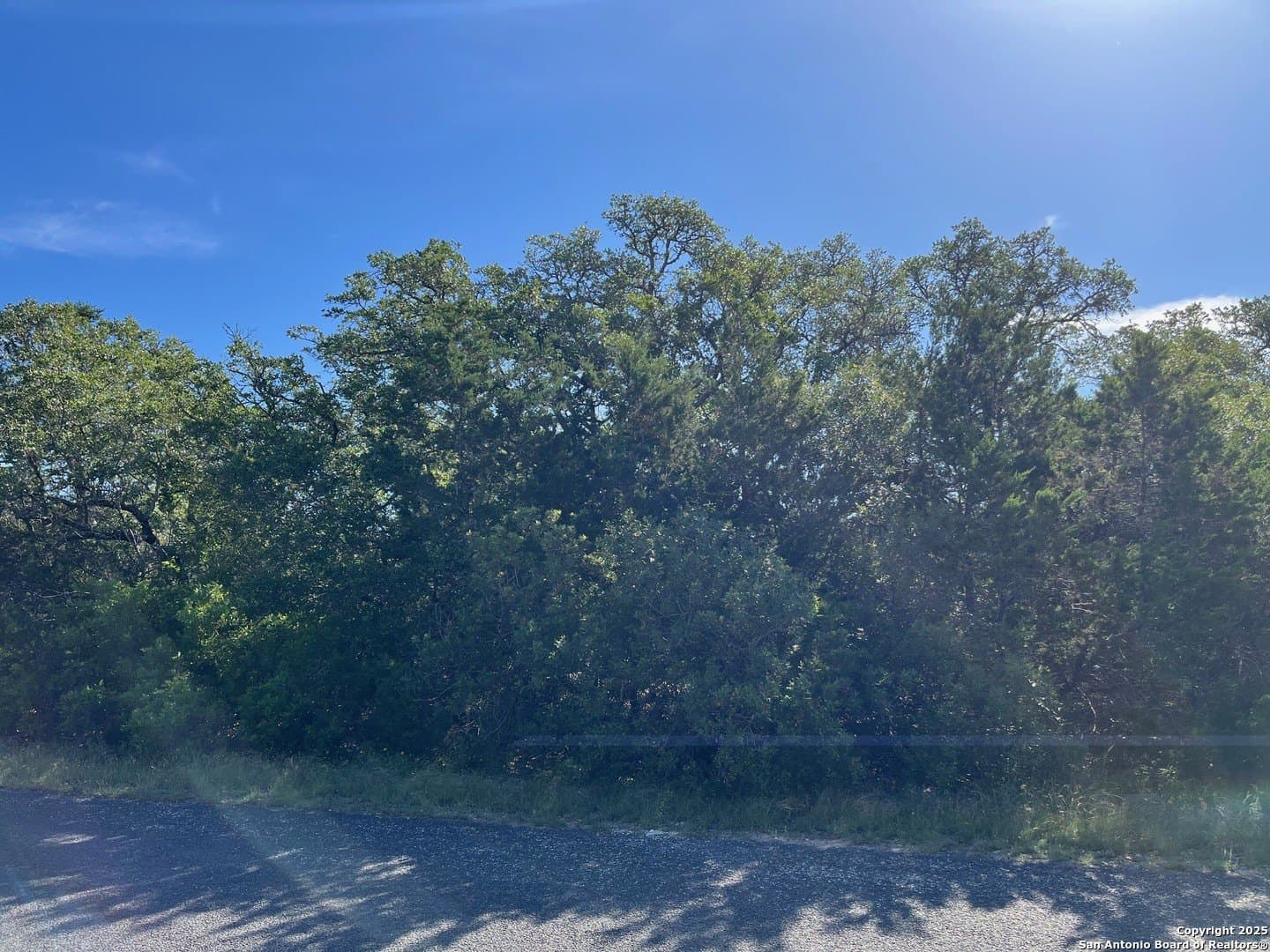 1.41 acres in Bexar County - photo 7