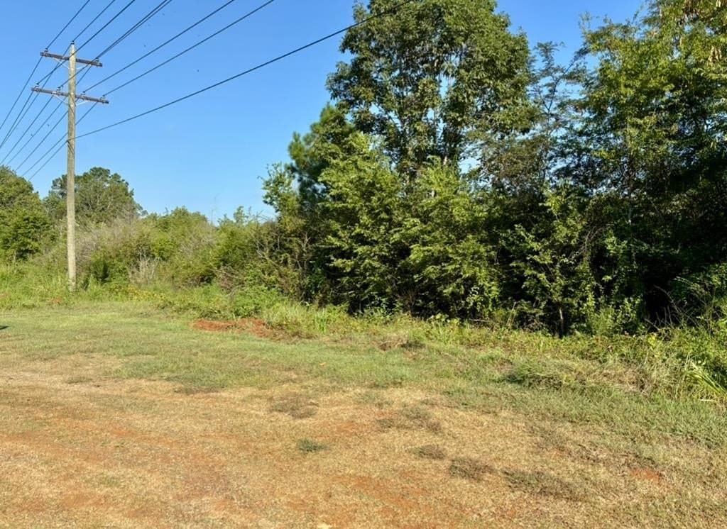 10.69 acres in Texas County - photo 4