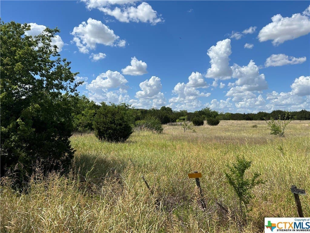 19.57 acres in Bell County - photo 2